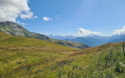 Savoyer Alpen 2025