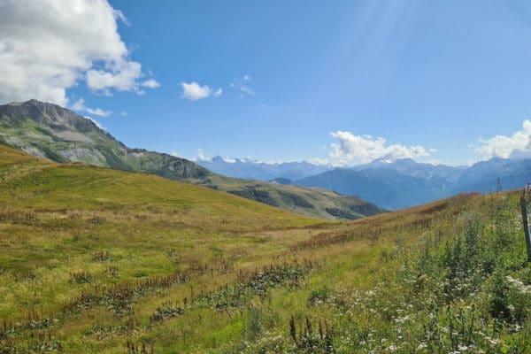 Savoyer Alpen 2025