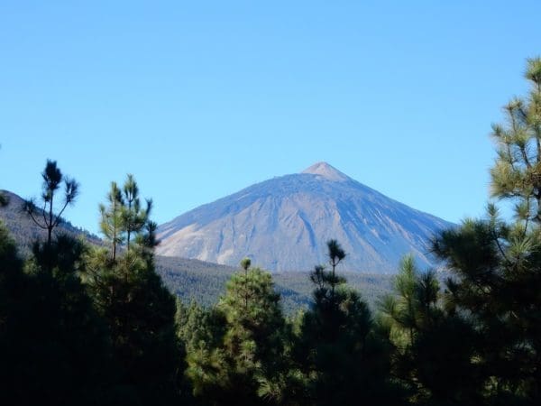 Teneriffa und La Gomera 2025 – Bild 3