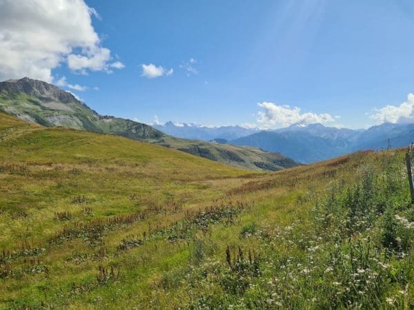 Savoyer Alpen 2025 – Bild 3