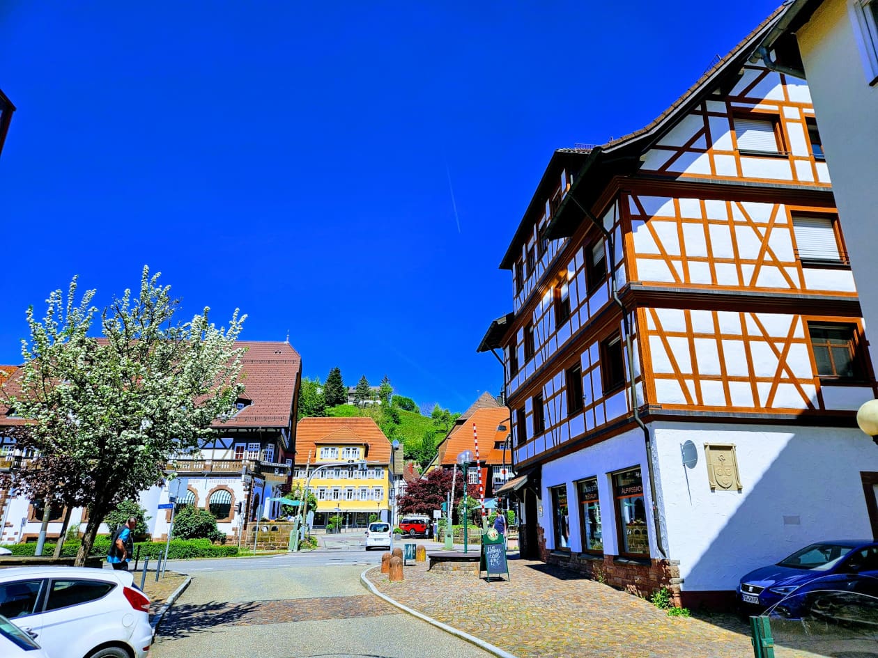 Schwarzwald 2027 – Bild 2