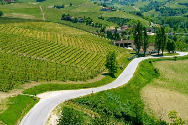 Piemont 2026 – Bild 7